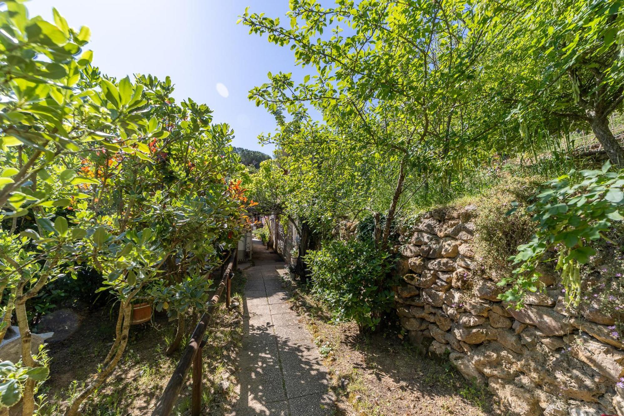 Cottage Pura Vigna Immerso Nella Natura Vicino Al Mare Porto Santo Stefano  Exterior foto