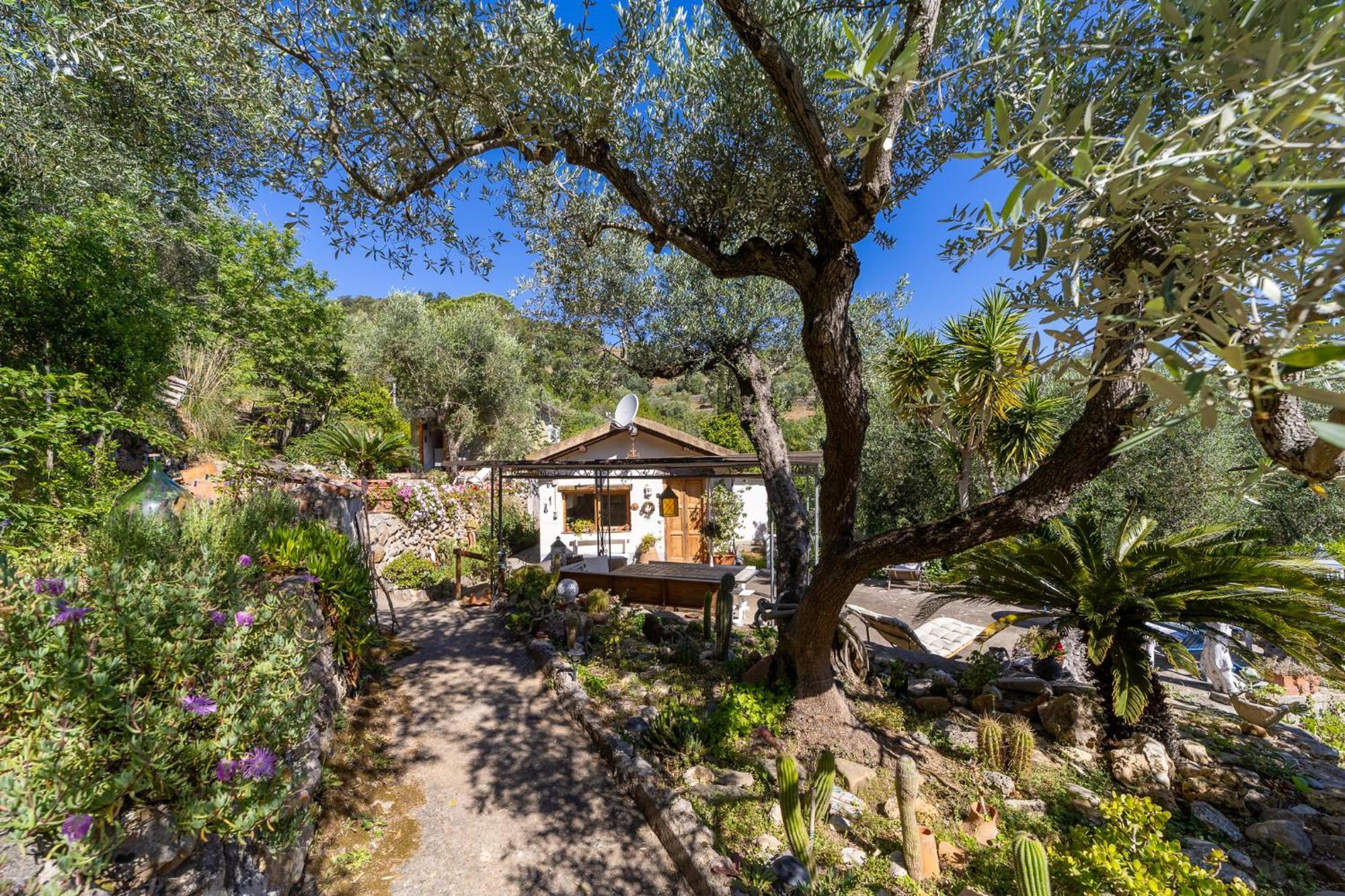 Cottage Pura Vigna Immerso Nella Natura Vicino Al Mare Porto Santo Stefano  Exterior foto